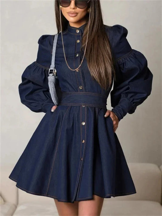 Top Stitch Puff Sleeve Denim A-Line Mini Dress with Pockets