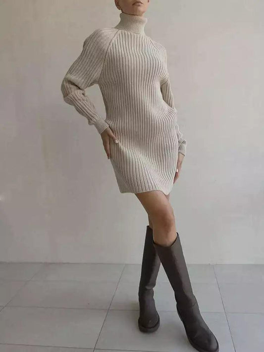 Turtleneck Long Sleeve Knitted Mini Dress - SHExFAB