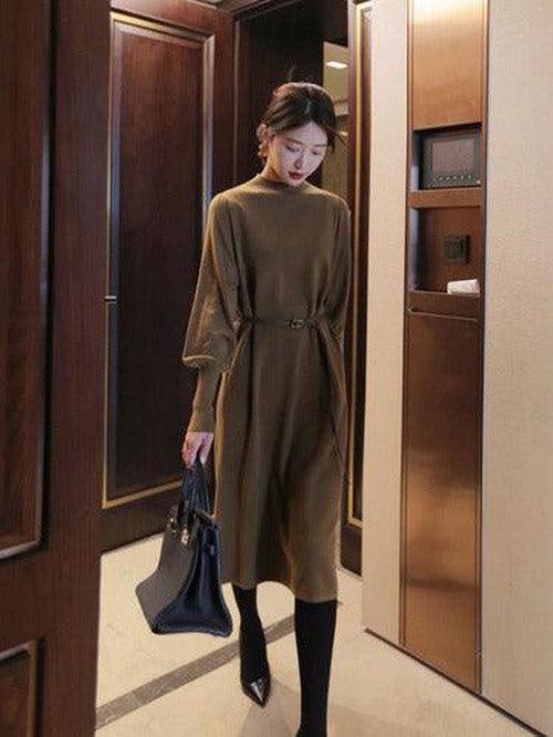 Elegant Turtleneck Knitted Long Dress - SHExFAB