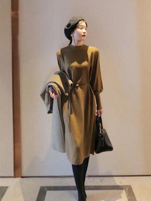 Elegant Turtleneck Knitted Long Dress - SHExFAB