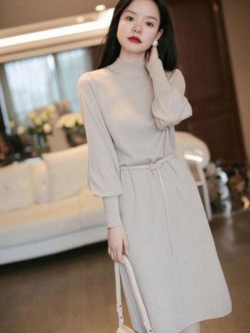 Elegant Turtleneck Knitted Long Dress - SHExFAB