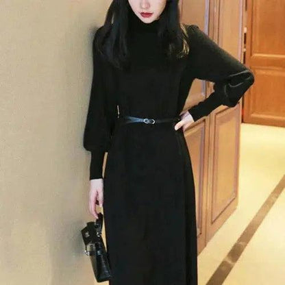 Elegant Turtleneck Knitted Long Dress - SHExFAB