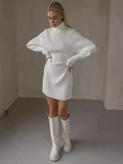 Turtleneck Long Sleeve Knitted Mini Dress - SHExFAB