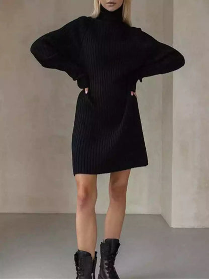 Turtleneck Long Sleeve Knitted Mini Dress - SHExFAB